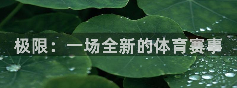 必发官方正版app集团官网网址:极限:一场全新的体育赛事