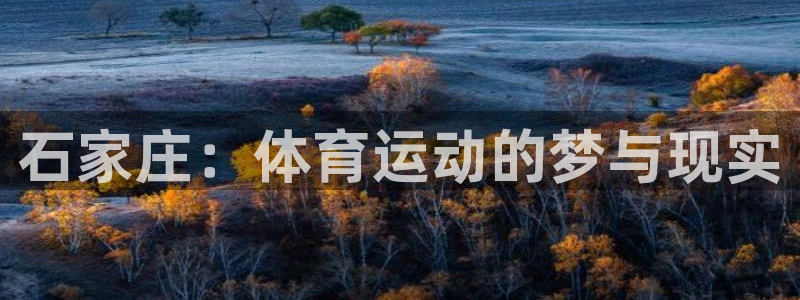 必发官方集团官网:石家庄:体育运动的梦与现实